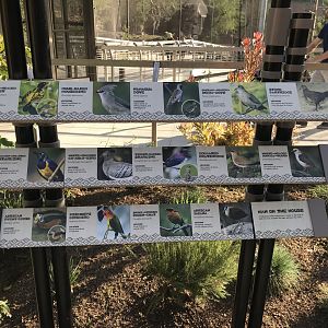 AR Lower Aviary SIgn 4