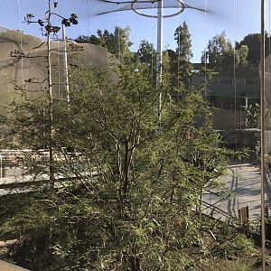 AR Lower Aviary Far Left