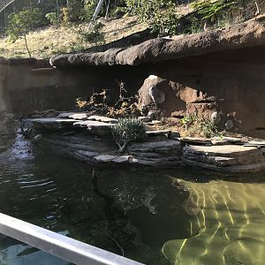 AR Lower Aviary Pond