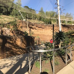 AR Lower Aviary Looking Back To Pond