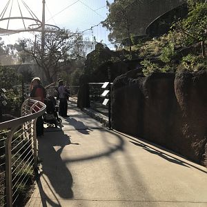 AR Lower Aviary Center - Left