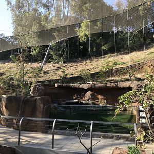 AR Lower Aviary Center