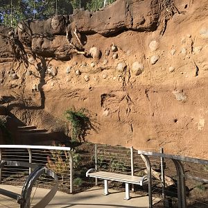 AR Lower Aviary Center - Right