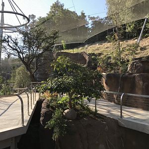 AR Lower Aviary Left