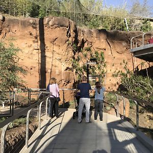 AR Lower Aviary Path Right