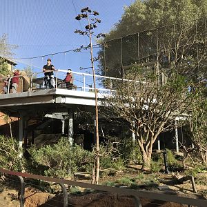 AR Lower Aviary Far Right