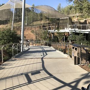 AR Path To Lower Aviary