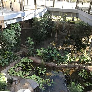 AR Lower Aviary Waterfall 2