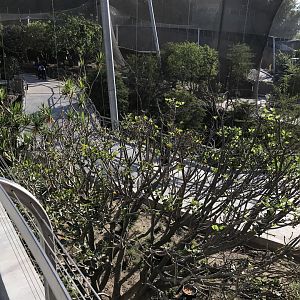 AR Upper Aviary Left