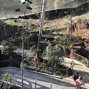 AR Upper Aviary Center