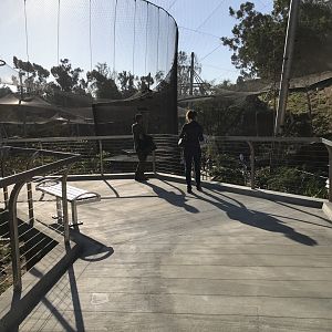 AR Upper Aviary Path 1