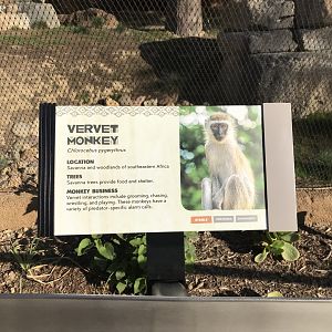 AR Vervet Monkey Sign 1