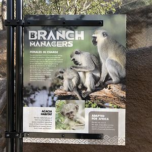 AR Vervet Monkey Sign 2