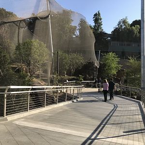 AR Path To Vervet Monkey 1 Front Viewing Area 2