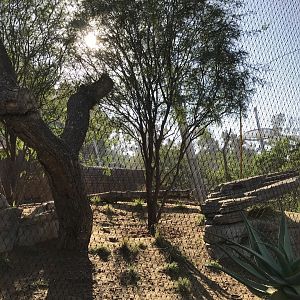 AR Leopard 2 Viewing Area 1 Far Right