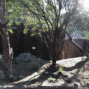 AR Leopard 2 Viewing Area 1 Center