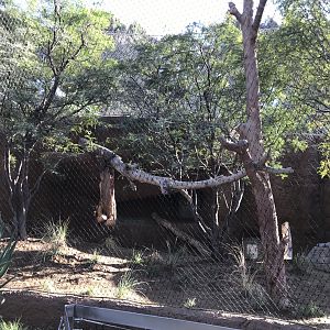 AR Leopard 2 Viewing Area 1 Left