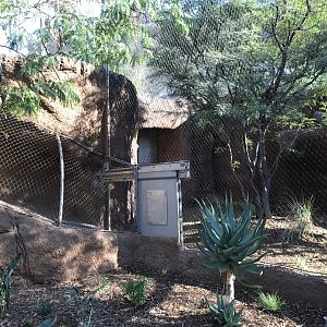 AR Leopard Transfer 2 Entrance