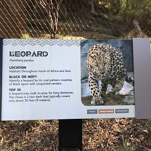 AR Leopard 1 Sign 1