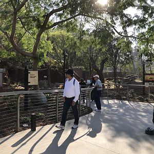 AR Path To Leopard 2