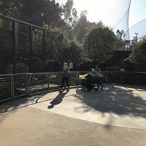 AR Leopard 1 Viewing Area 1