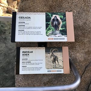 AR Gelada 1 Sign 1