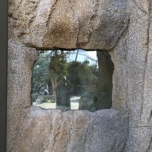 AR Gelada 1 Viewing Area 3 Right