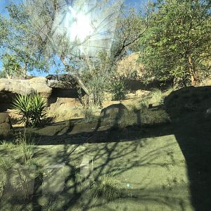 AR Gelada 1 Viewing Area 3 Center