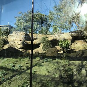 AR Gelada 1 Viewing Area 3 Left