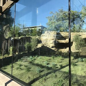 AR Gelada 1 Viewing Area 3 Left 2