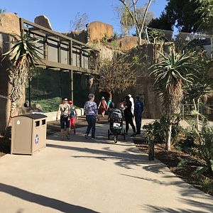 AR Gelada 1 Viewing Area 3