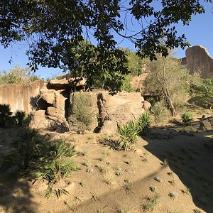 AR Gelada 1 Viewing Area 2 Right