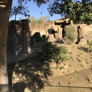 AR Gelada 1 Viewing Area 2 Left