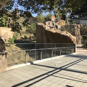 AR Gelada 1 Viewing Area 2