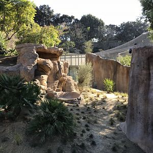 AR Gelada 1 Viewing Area 1 Right