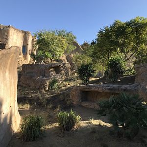 AR Gelada 1 Viewing Area 1 Left