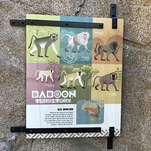 AR Gelada - H Baboon Shared Sign 1