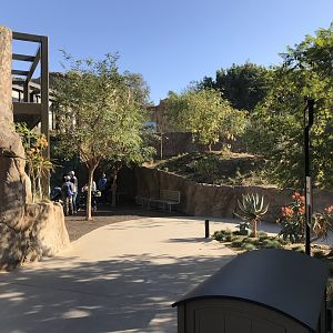 AR Gelada - H Baboon Shared Viewing Area 2 Path