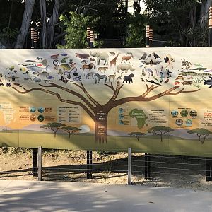 AR H Baboon 1 Sign 4