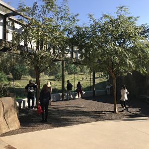 AR H Baboon 1 Viewing Area 5