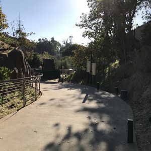 AR H Baboon 1 Path To Viewing Area 5