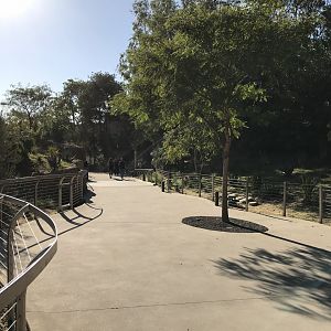 AR H Baboon 1 Path To Viewing Area 4