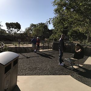 AR H Baboon 1 Viewing Area 3