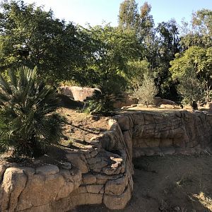 AR H Baboon 1 Viewing Area 2 Center