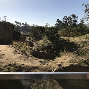 AR H Baboon 1 Viewing Area 1 Left