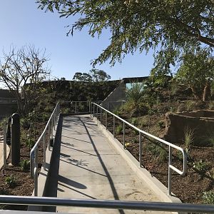 Side Path To H Baboon Viewing Area - Closed - Behind Snack Stand