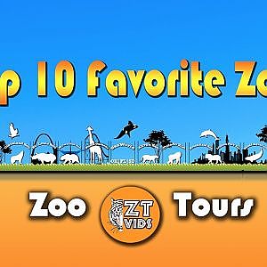 Video: My Top 10 Faovorite Zoos