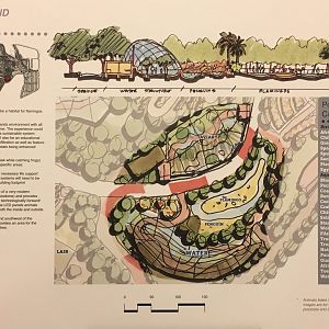 Master Plan: Aquatics