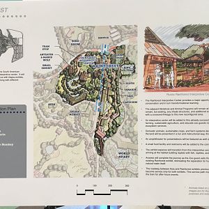 Master Plan: Rainforest