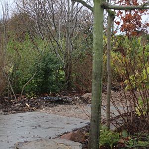Tree Kangaroo Exhibit